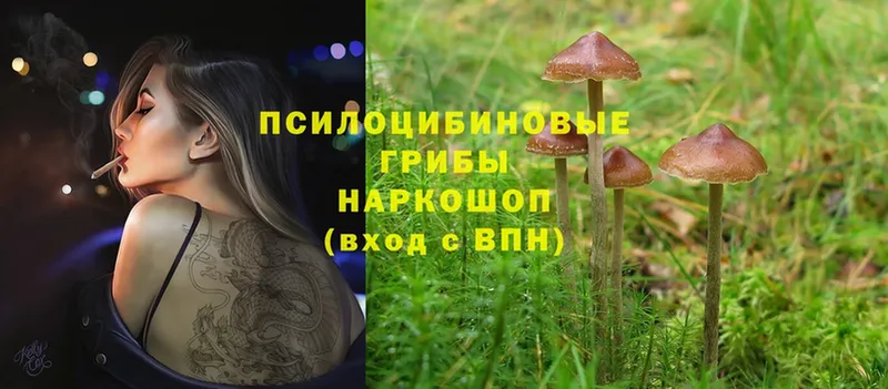 Псилоцибиновые грибы Magic Shrooms  ссылка на мегу tor  Рубцовск 